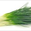 spring onion pck 小葱一包