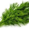 Dill 80g 蒔蘿 80克