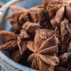 LONGEVITY Star Anise 80g 寿星牌南宁八角80克