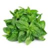 Basil Leaf 80g 兰香叶80克