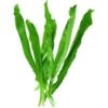 Parsley European grass 80G