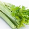 Celery 1stk 西芹1颗