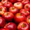 Red Apple1kg (5%+-) 红苹果1千克(5%+-)