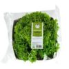 Nowegian Green Lollo Salat 1 pck