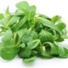 Felt Salat 1pck/100g