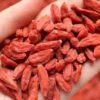 XUNBAICAO Dried Goji 150g 寻百草枸杞150克
