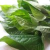 Cha plu leaf 80g wild betel leaf 80g