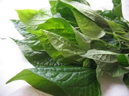 Cha plu leaf 80g wild betel leaf 80g