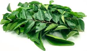 Curry leaf 50g 咖喱叶50克