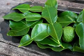 leech lime leaf50g 柠檬叶50克