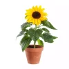 Helianthus - Solsikker 13 cm