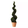 Thuja occidentalis 26 cm spiral