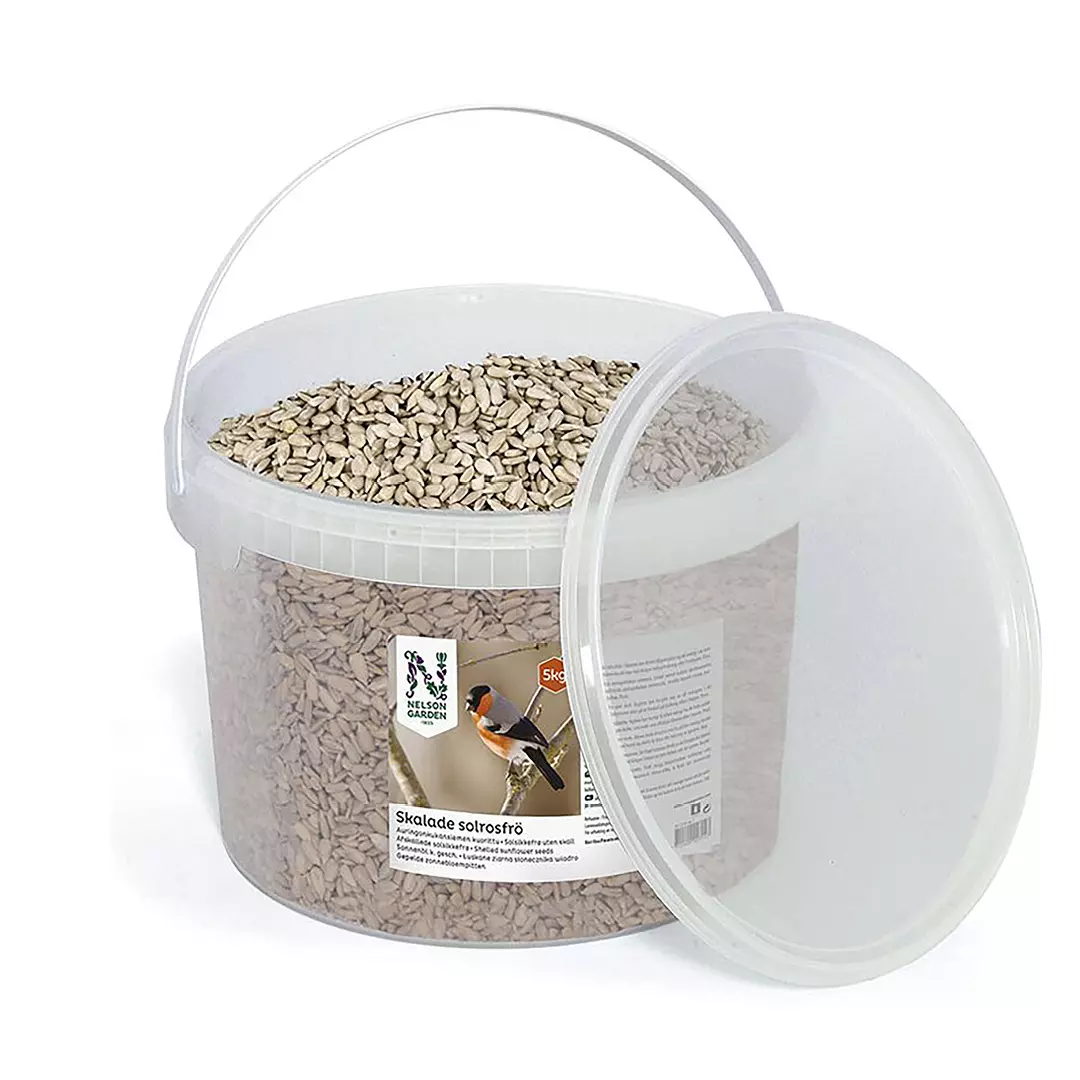 Solsikkefrø renset 5 kg