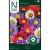 Asters, Enkeltblomstrende, bl. farger