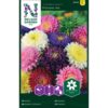 Asters, Princess, blandede farger