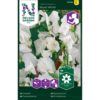 Blomsterert, Royal White, hvit