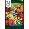 Nemesia, Carnival, bl. farger