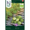 Kål, Rosen-, Igor F1, Organic