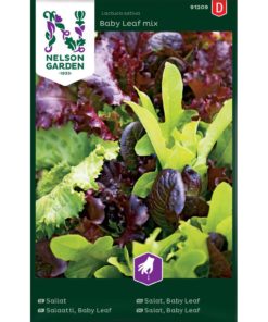 Salat, Baby Leaf, mix