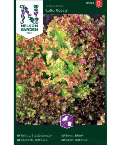 Salat, Blad-, Lollo Rossa