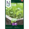 Sandsennep, Rucola-type, Venetia