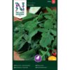 Salatsennep, Rucola