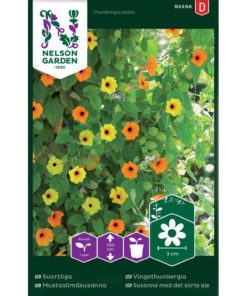 Vingethunbergia, blandede farger