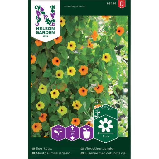 Vingethunbergia, blandede farger