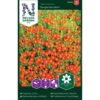 Fløyelsblomst, Signet-, Tangerine Gem