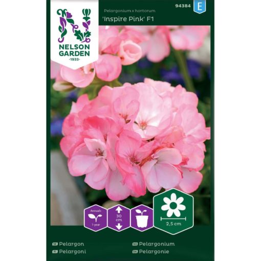Pelargonium, Inspire Pink F1, rosa