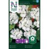 Pelargonium, Inspire White F1, hvit