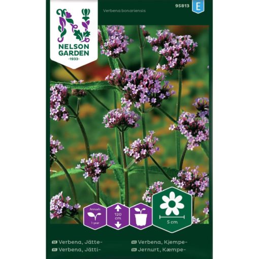 Verbena, Kjempe-