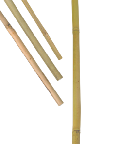 Bambusstav 150 cm 5pk