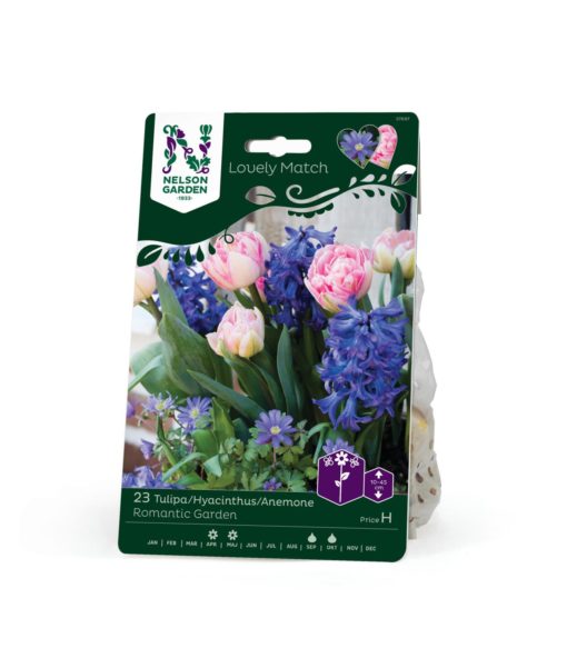 Tulp/Hyac/Anem LM Romantic Garden