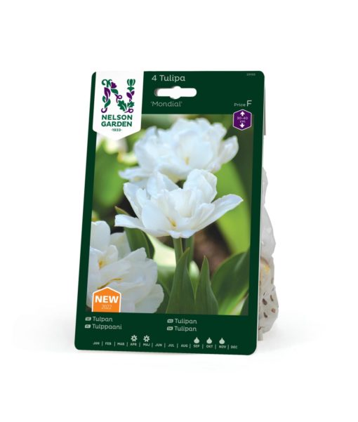 Tulipan Tidig dobbel, Mondial