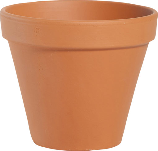 Terracotta pot Ø6