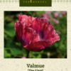 Valmue 'The Giant' Rød