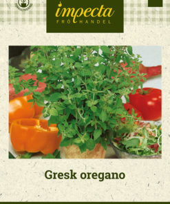 Gresk oregano hvit