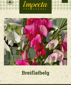 Breiflatbelg Miksfarget