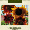 Rød solsikke 'Red Sun' Rød
