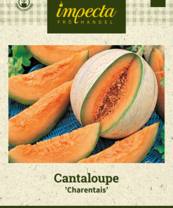Cantaloupe 'Charentais' grønn
