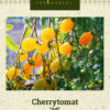 Cherrytomat 'Ildi' Gul