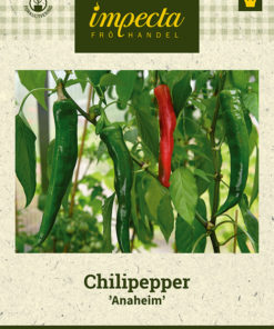 Chilipepper 'Anaheim Chili' grønn