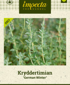 Kryddertimian 'German Winter' Lila