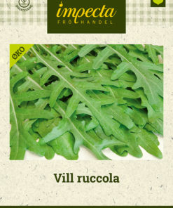 Vill ruccola grønn