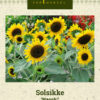 Liten solsikke 'Waooh!' Gul