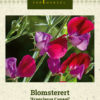 Blomsterert 'Franciscus Cupani' Lila