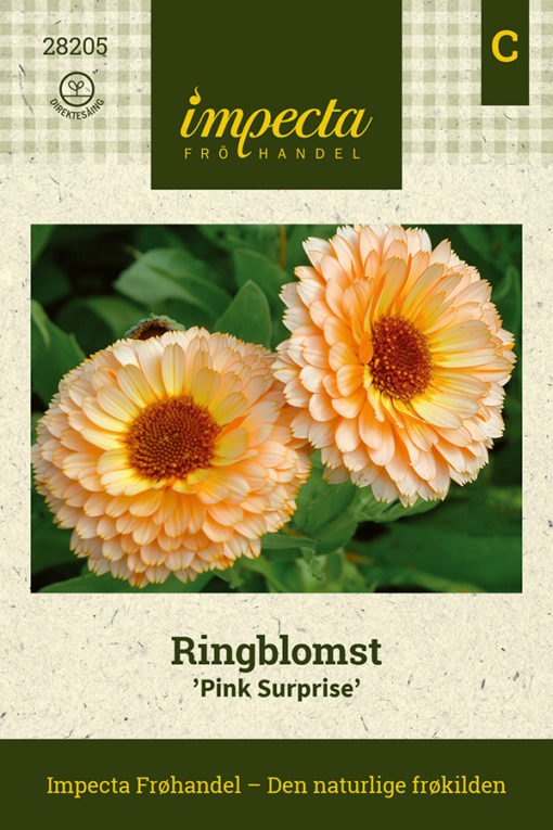 Ringblomst 'Pink Surprise' Gul