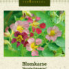 Blomkarse 'Purple Emperor' Rosa