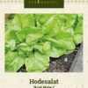Hodesalat 'Král Máje I' grønn